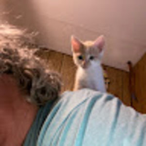 Meet your Posher, Pam